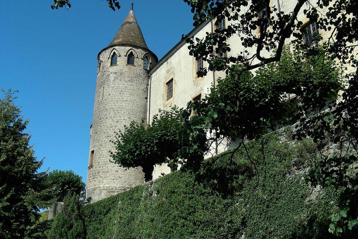 Visite guidée du chantier du château avec les Amis - 2024